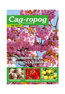 САД - ГОРОД
